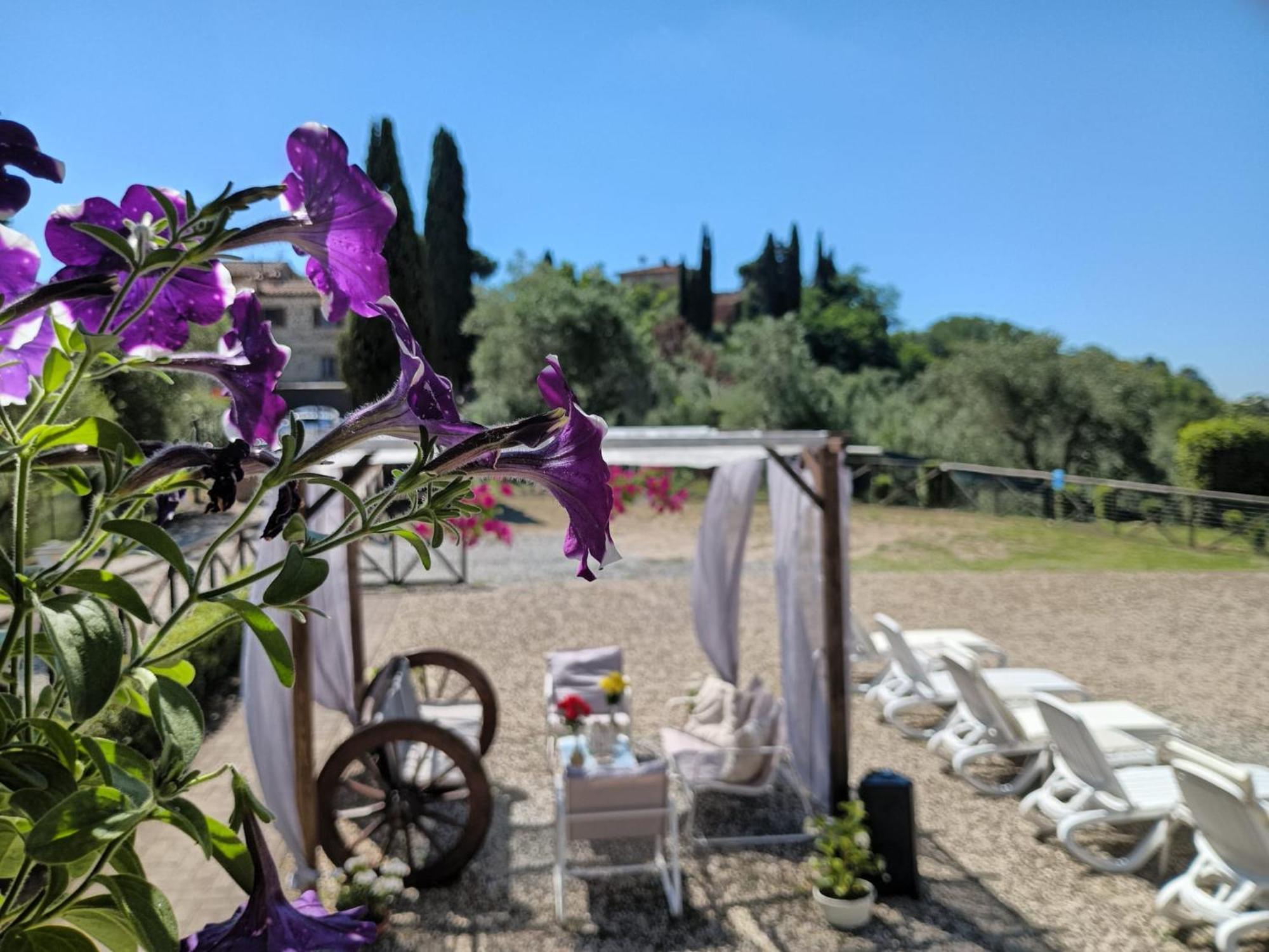 Villa Degli Olivi Nature Σιένα Εξωτερικό φωτογραφία