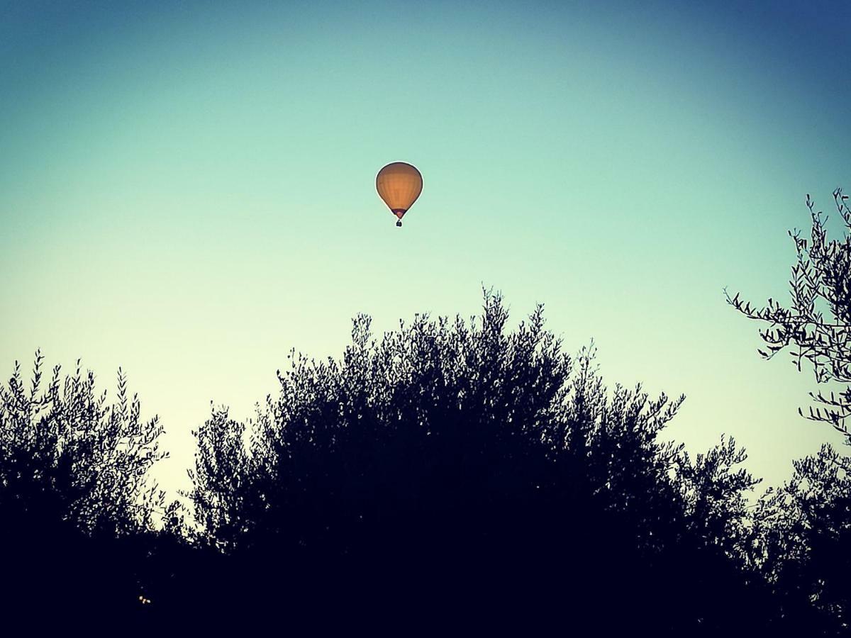 Villa Degli Olivi Nature Σιένα Εξωτερικό φωτογραφία